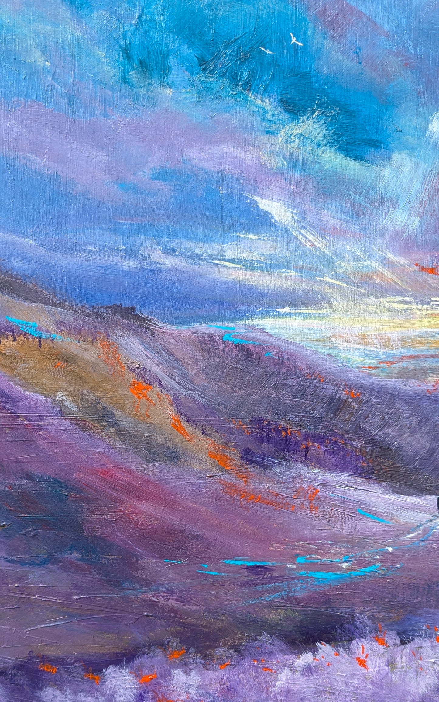 Lakeland Wanderings