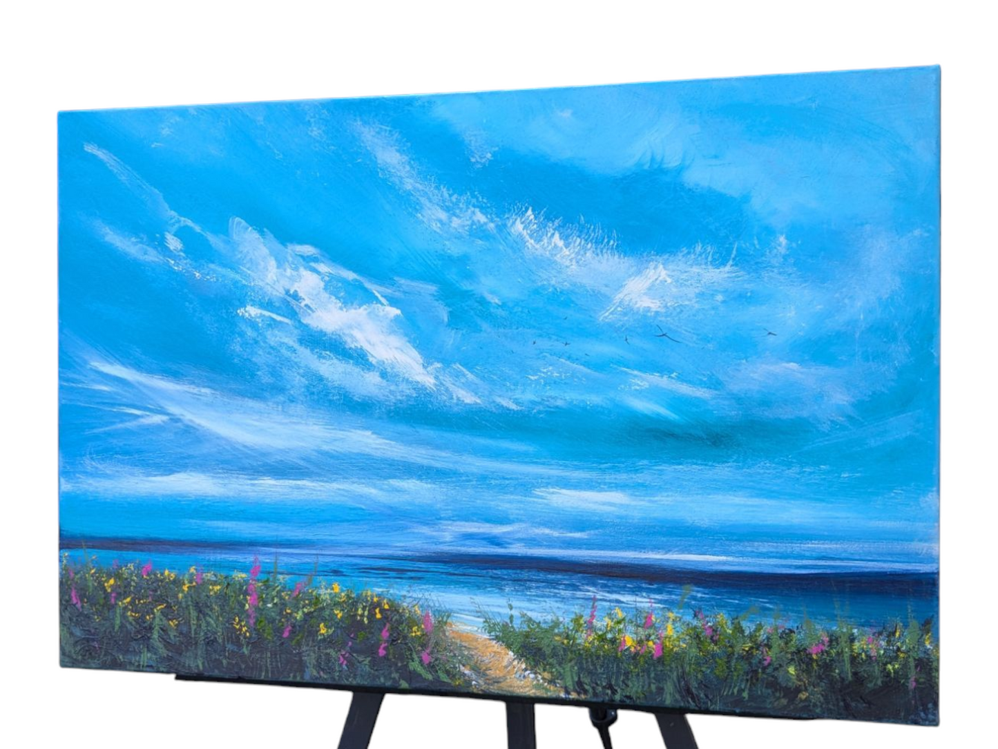 Coastal Views, 60x40cm
