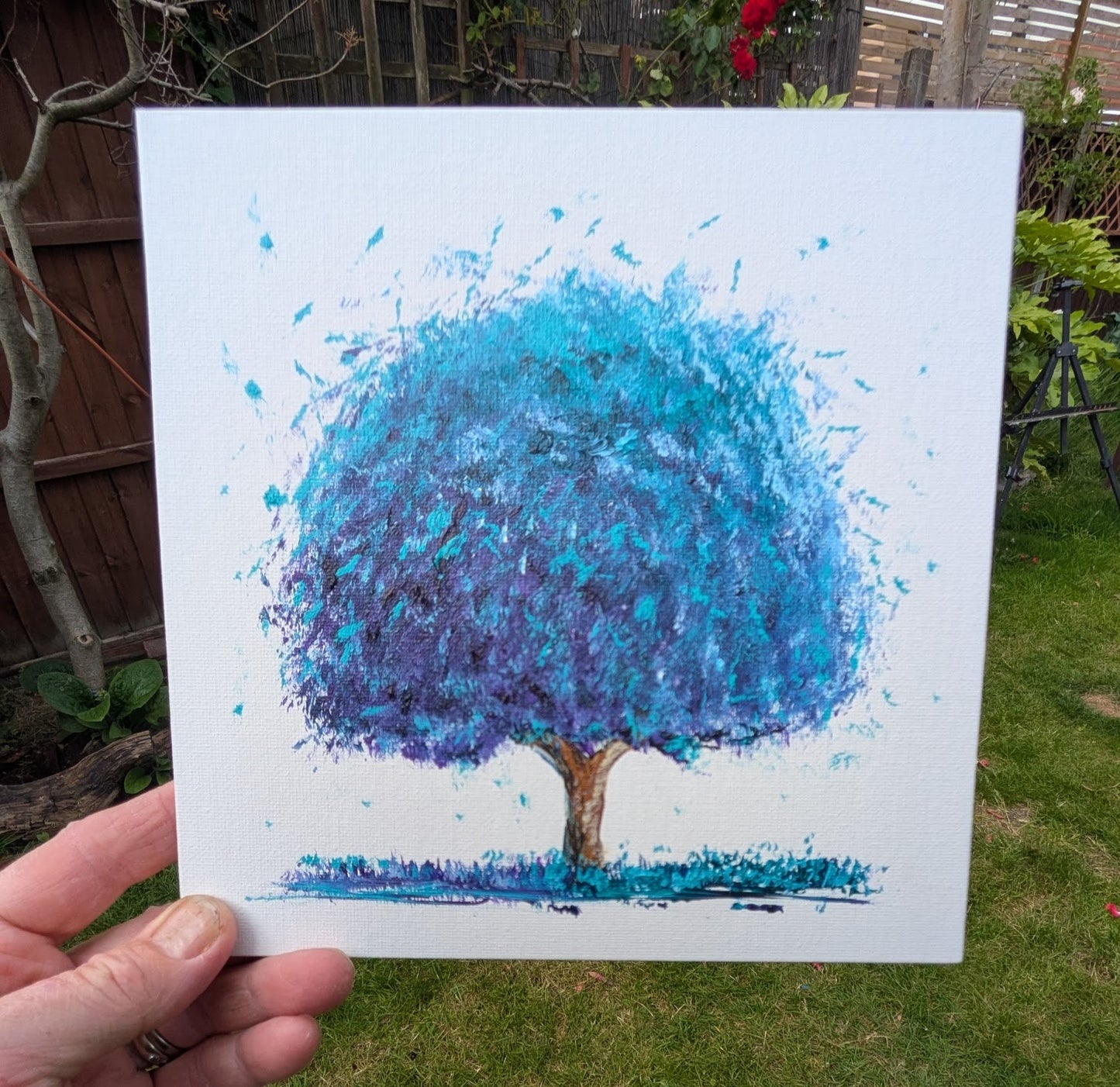 Spectrum Oak Series Blue I