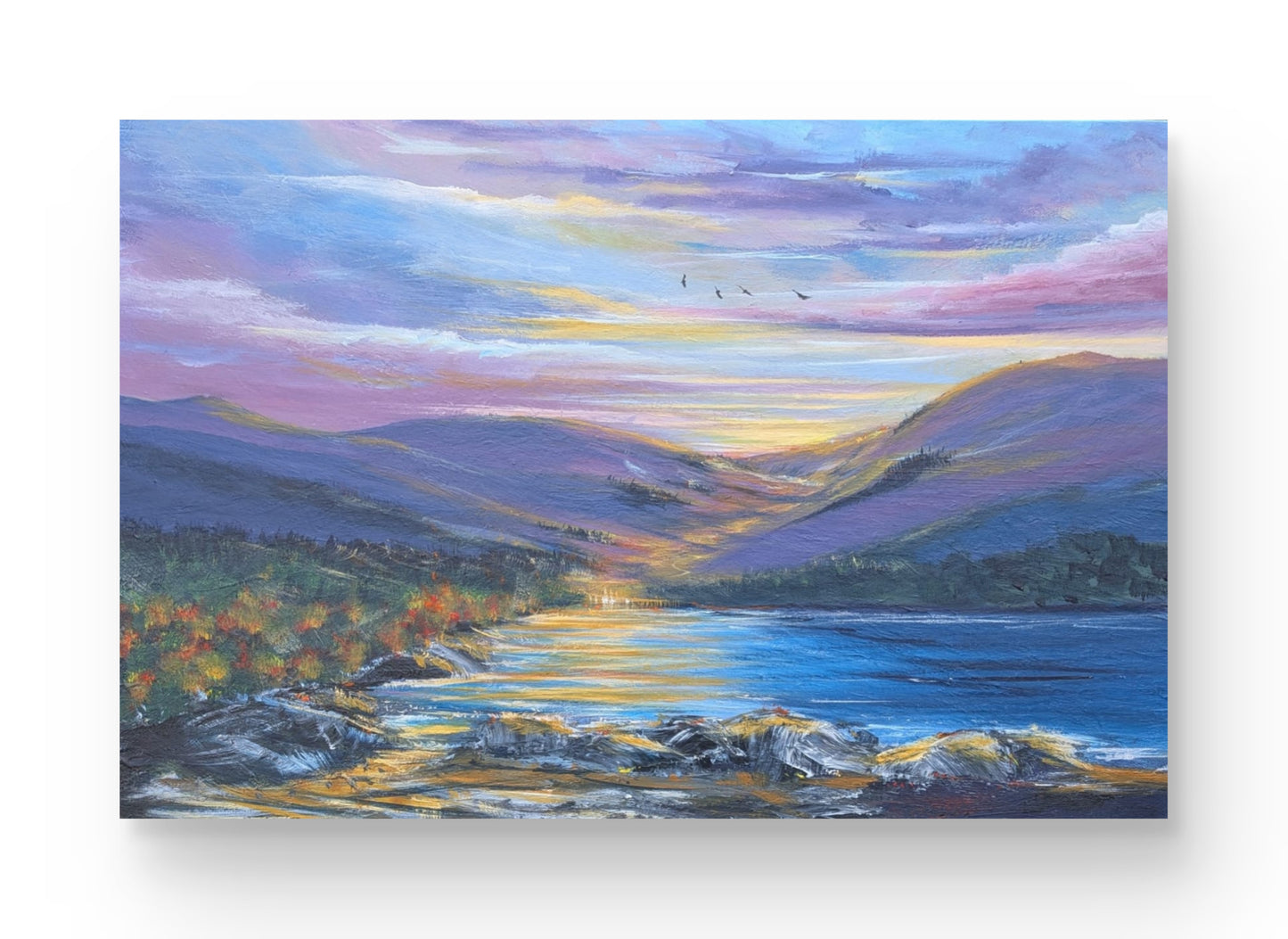 Solace 60x40x2cm