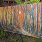 Autumn Light 120x50cm