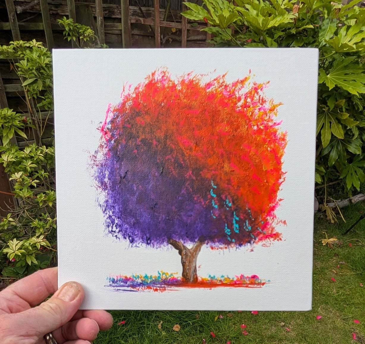 Spectrum Oak Series Madly Marvellous